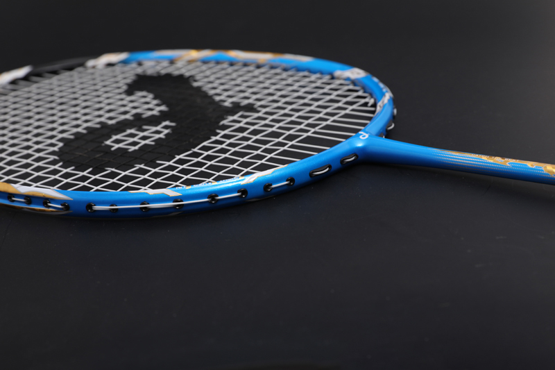 Raquete de badminton de carbono premium Cx-b668 azul